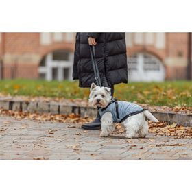 CAPA "PONTIS" COM PEITORAL PARA CÃES