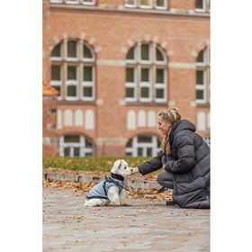 CAPA "PONTIS" COM PEITORAL PARA CÃES