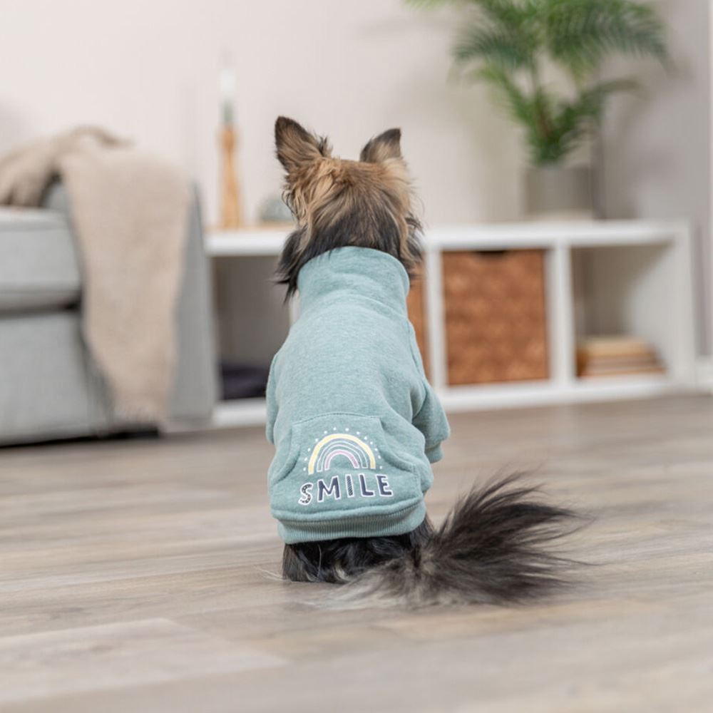 SWEATSHIRT "LITTLETON" PARA CÃES