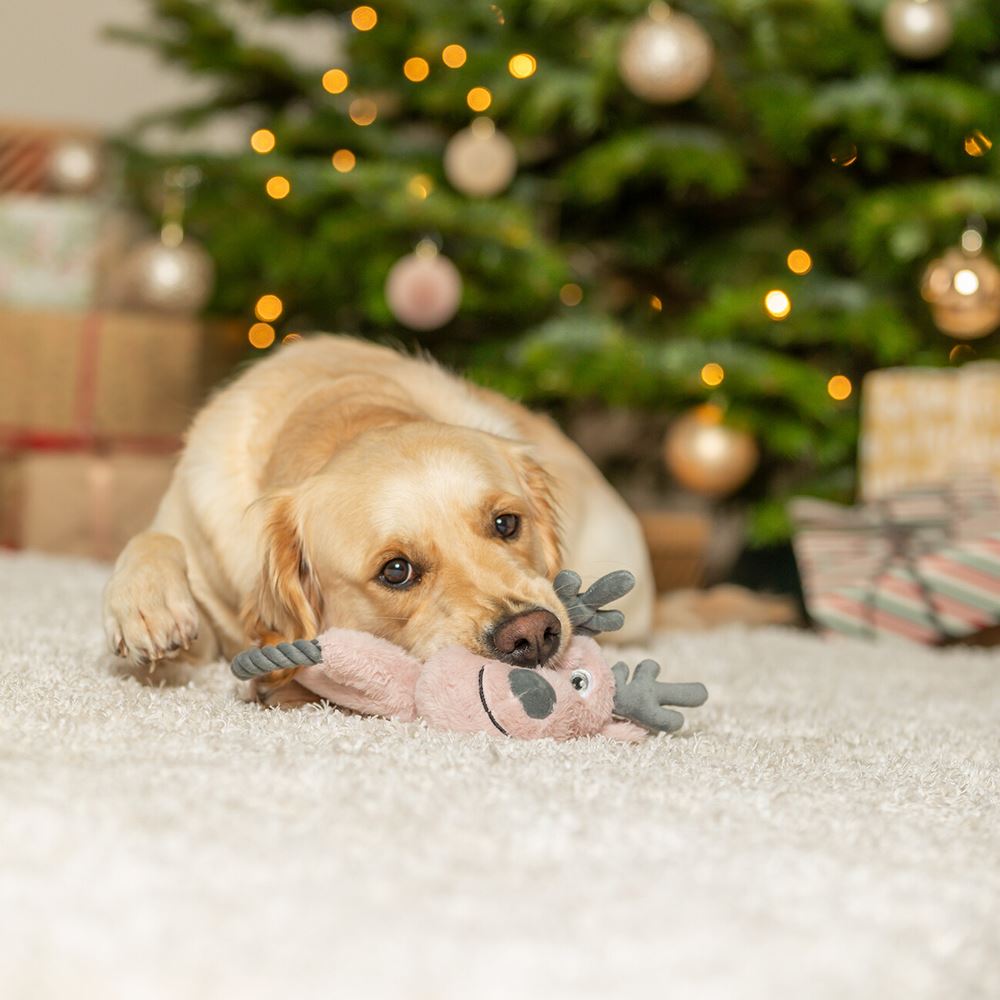 RENA EM PELÚCIA COM CORDA