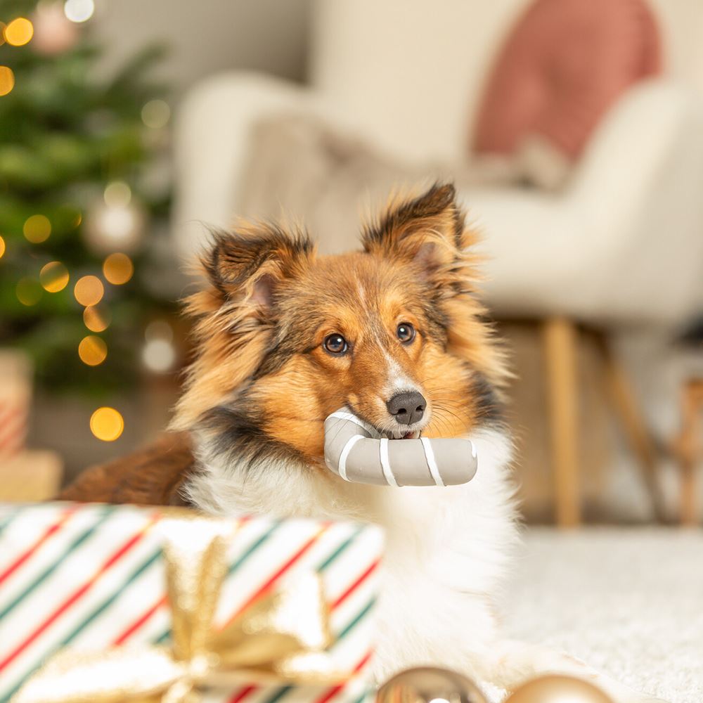 BENGALA-REBUÇADO EM LATÉX COM SOM