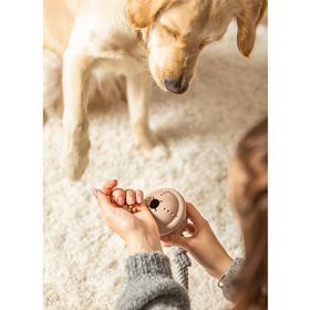 SINO EM BORRACHA NATURAL COM CORDA