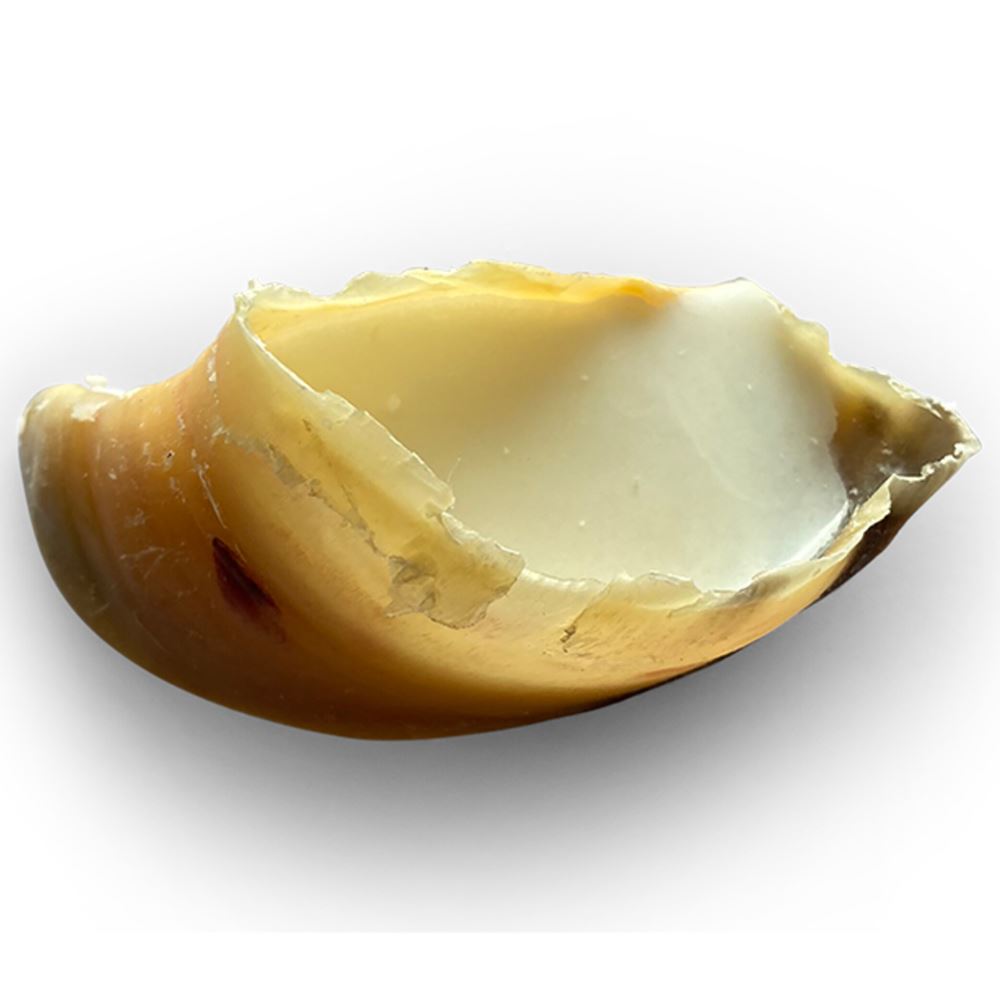 CASCOS RECHEADOS COM SEBO DE OVELHA