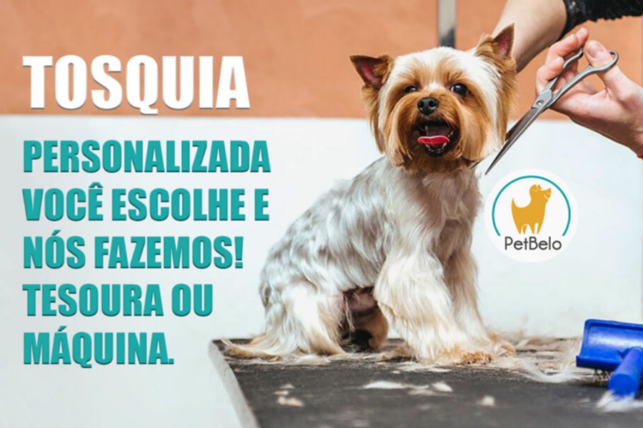 http://bo.petbelo.pt/FileUploads/empresa/quem-somos/banhos_tosquia.jpg